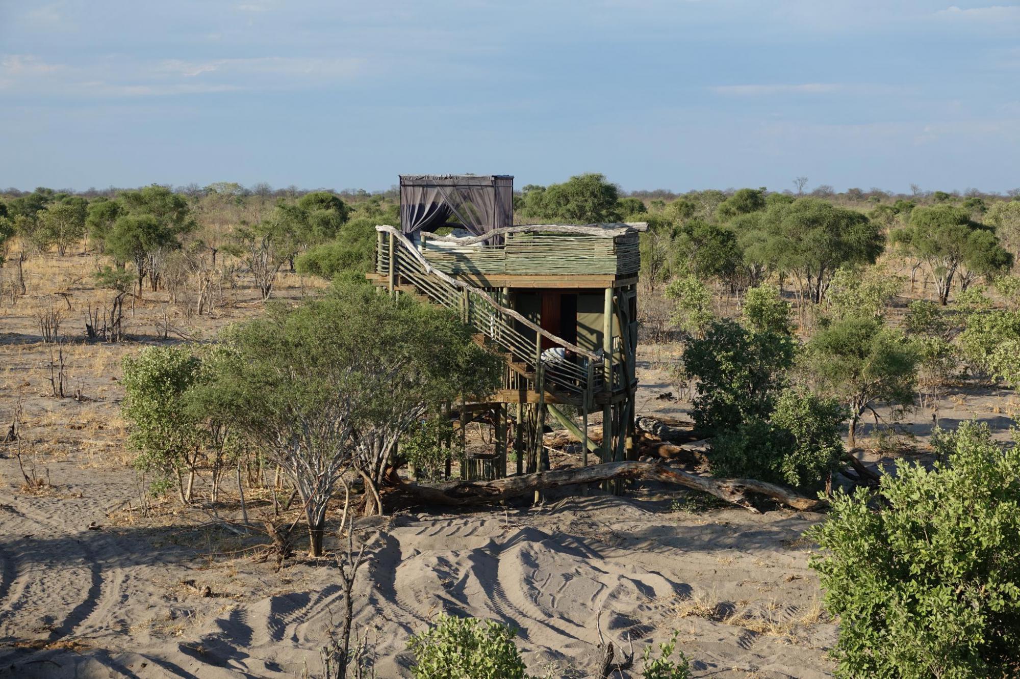 Safari, Botswana, dovolená Botswana, Afrika